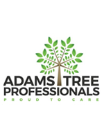 Tom Adams & Rose Adams Adams Tree Professionals, London, UK